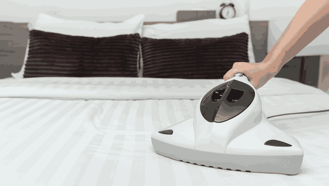 Professional Mattress Cleaning Eden Park